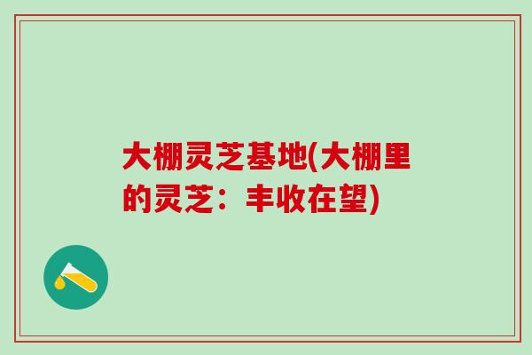 大棚灵芝基地(大棚里的灵芝：丰收在望)