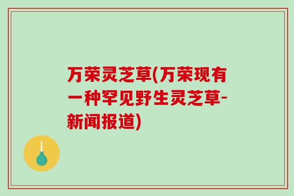 万荣灵芝草(万荣现有一种罕见野生灵芝草-新闻报道) 万荣灵芝草(万荣现有一种罕见野生灵芝草-新闻报道)