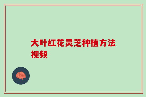 大叶红花灵芝种植方法视频