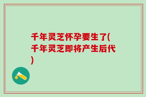 千年灵芝怀孕要生了(千年灵芝即将产生后代) 千年灵芝怀孕要生了(千年灵芝即将产生后代)