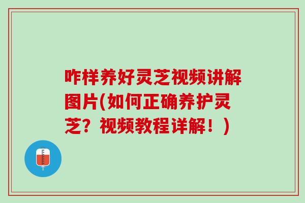 咋样养好灵芝视频讲解图片(如何正确养护灵芝？视频教程详解！)
