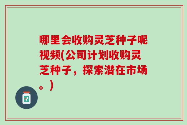 哪里会收购灵芝种子呢视频(公司计划收购灵芝种子，探索潜在市场。)
