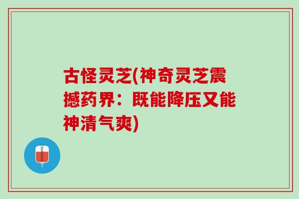 古怪灵芝(神奇灵芝震撼药界：既能降压又能神清气爽)