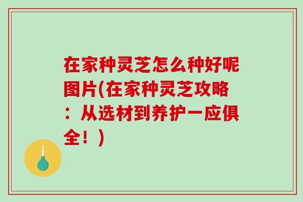 在家种灵芝怎么种好呢图片(在家种灵芝攻略：从选材到养护一应俱全！)