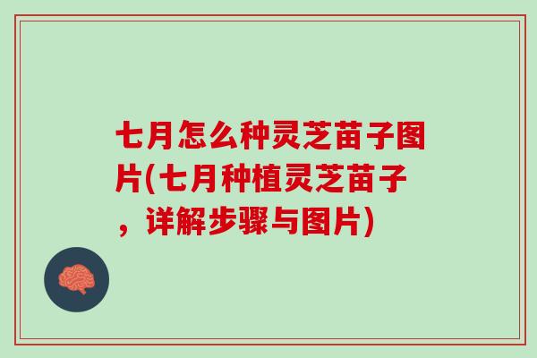 七月怎么种灵芝苗子图片(七月种植灵芝苗子，详解步骤与图片)