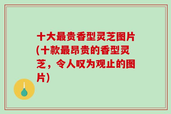 十大最贵香型灵芝图片(十款最昂贵的香型灵芝，令人叹为观止的图片)