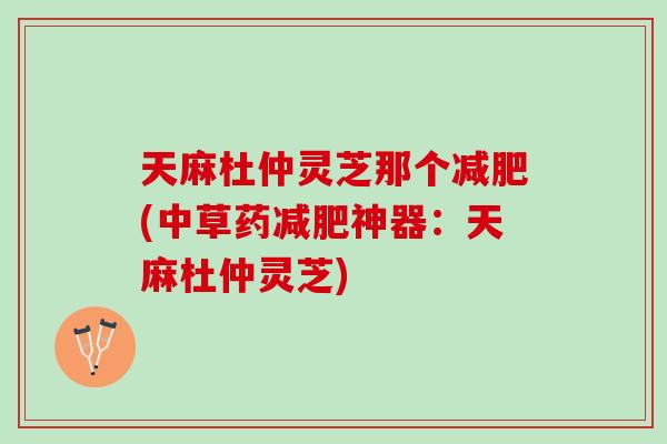 天麻杜仲灵芝那个(中草药神器:天麻杜仲灵芝) 天麻杜仲灵芝那个(中草药神器:天麻杜仲灵芝)