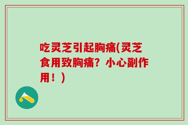 吃灵芝引起胸痛(灵芝食用致胸痛?小心副作用!) 吃灵芝引起胸痛(灵芝食用致胸痛?小心副作用!)