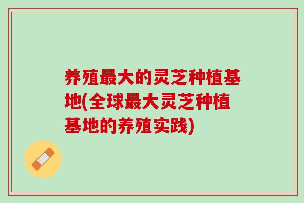 养殖最大的灵芝种植基地(全球最大灵芝种植基地的养殖实践)