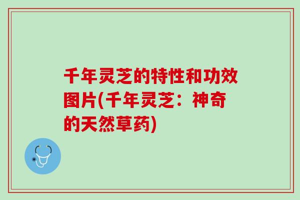 千年灵芝的特性和功效图片(千年灵芝:神奇的天然草药) 千年灵芝的特性和功效图片(千年灵芝:神奇的天然草药)