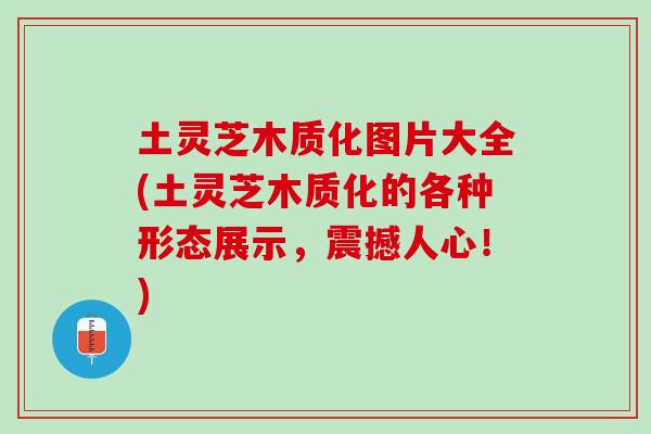 土灵芝木质化图片大全(土灵芝木质化的各种形态展示，震撼人心！)