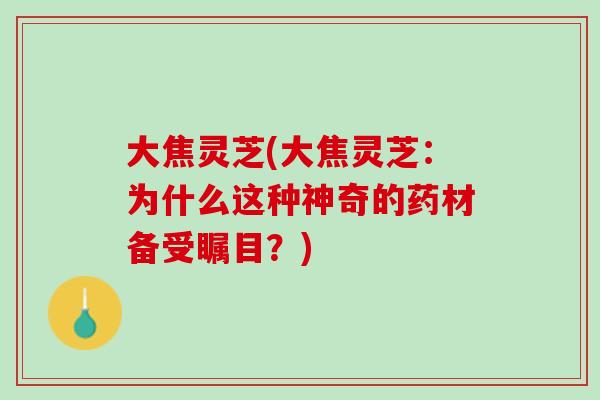 大焦灵芝(大焦灵芝：为什么这种神奇的药材备受瞩目？)