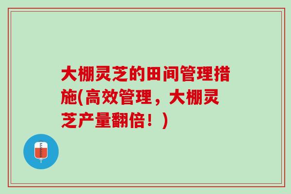 大棚灵芝的田间管理措施(高效管理,大棚灵芝产量翻倍!) 大棚灵芝的田间管理措施(高效管理,大棚灵芝产量翻倍!)