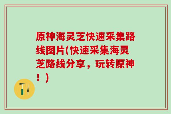 原神海灵芝快速采集路线图片(快速采集海灵芝路线分享，玩转原神！)