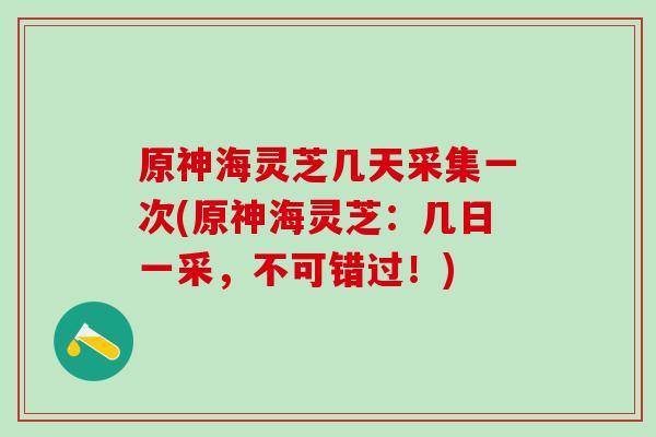 原神海灵芝几天采集一次(原神海灵芝：几日一采，不可错过！)