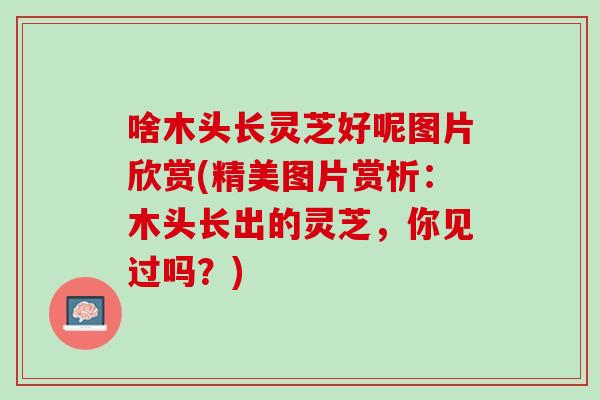 啥木头长灵芝好呢图片欣赏(精美图片赏析：木头长出的灵芝，你见过吗？)