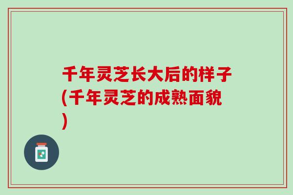 千年灵芝长大后的样子(千年灵芝的成熟面貌)