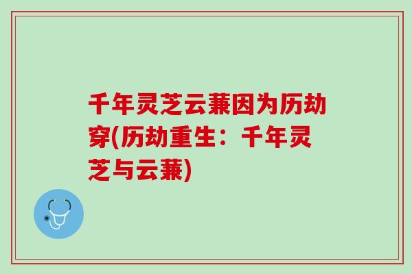 千年灵芝云蒹因为历劫穿(历劫重生:千年灵芝与云蒹) 千年灵芝云蒹因为历劫穿(历劫重生:千年灵芝与云蒹)