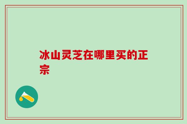 冰山灵芝在哪里买的正宗