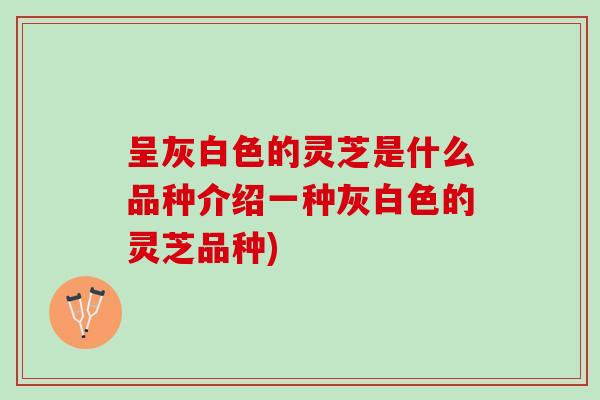 呈灰白色的灵芝是什么品种介绍一种灰白色的灵芝品种)