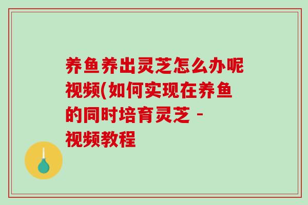 养鱼养出灵芝怎么办呢视频(如何实现在养鱼的同时培育灵芝 - 视频教程