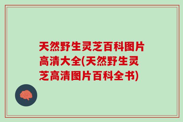 天然野生灵芝百科图片高清大全(天然野生灵芝高清图片百科全书)