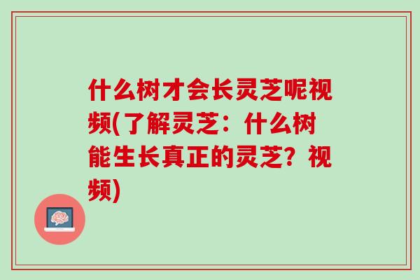 什么树才会长灵芝呢视频(了解灵芝：什么树能生长真正的灵芝？视频)