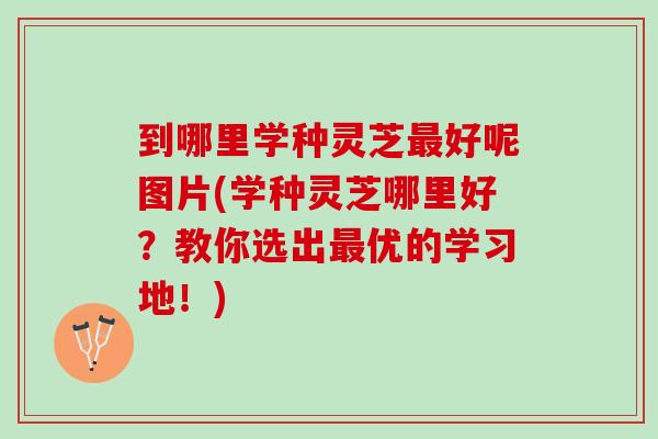 到哪里学种灵芝最好呢图片(学种灵芝哪里好？教你选出最优的学习地！)