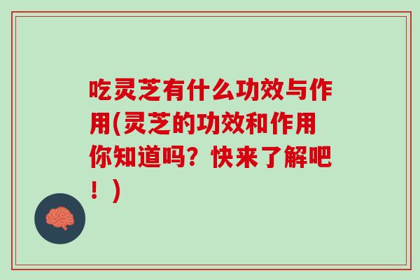 吃灵芝有什么功效与作用(灵芝的功效和作用你知道吗？快来了解吧！)