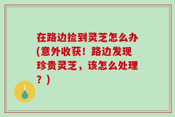 在路边捡到灵芝怎么办(意外收获！路边发现珍贵灵芝，该怎么处理？)