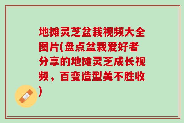 地摊灵芝盆栽视频大全图片(盘点盆栽爱好者分享的地摊灵芝成长视频，百变造型美不胜收)