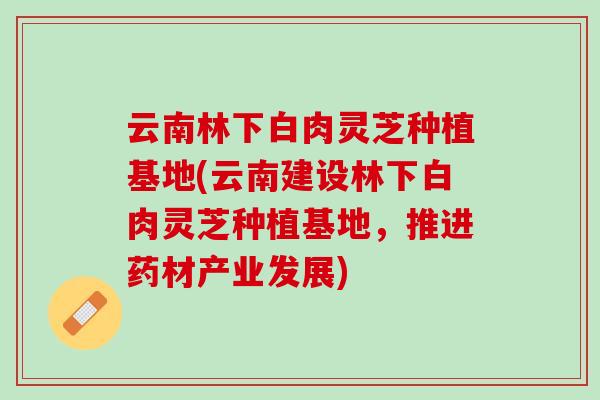 云南林下白肉灵芝种植基地(云南建设林下白肉灵芝种植基地，推进药材产业发展)