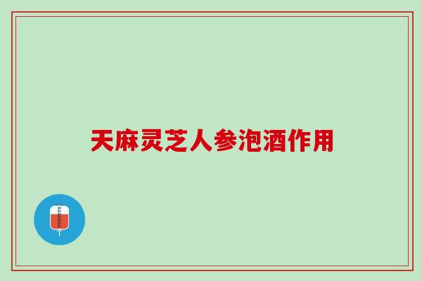 天麻灵芝人参泡酒作用