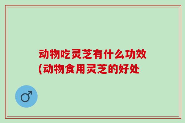 动物吃灵芝有什么功效(动物食用灵芝的好处 动物吃灵芝有什么功效(动物食用灵芝的好处