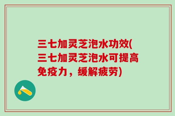 三七加灵芝泡水功效(三七加灵芝泡水可提高免疫力，缓解疲劳)