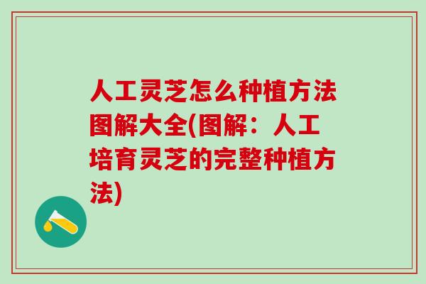 人工灵芝怎么种植方法图解大全(图解：人工培育灵芝的完整种植方法)