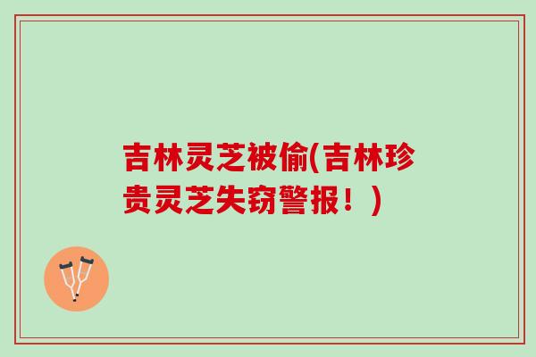 吉林灵芝被偷(吉林珍贵灵芝失窃警报！)