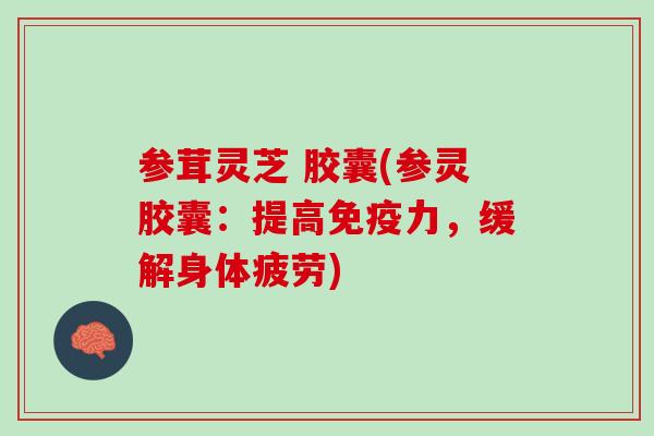 参茸灵芝 胶囊(参灵胶囊：提高免疫力，缓解身体疲劳)