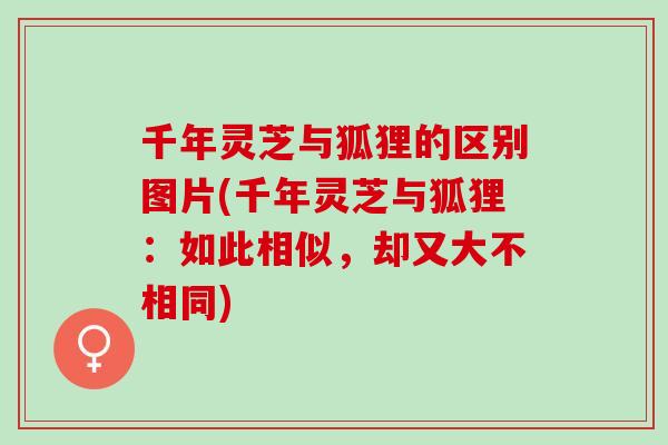 千年灵芝与狐狸的区别图片(千年灵芝与狐狸：如此相似，却又大不相同)