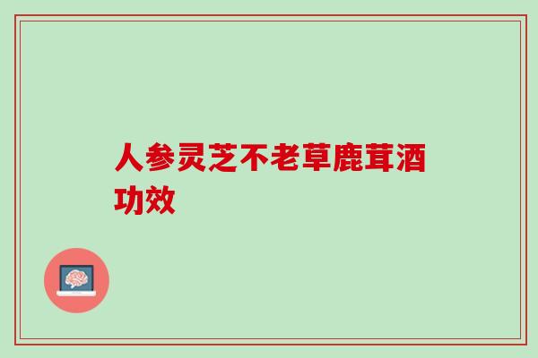 人参灵芝不老草鹿茸酒功效