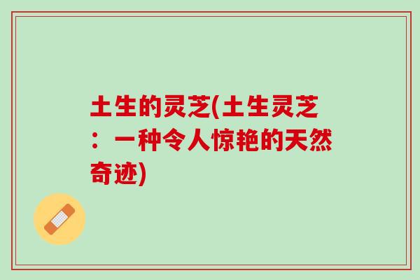 土生的灵芝(土生灵芝：一种令人惊艳的天然奇迹)
