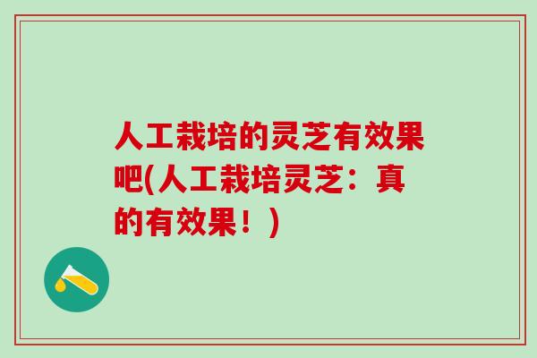 人工栽培的灵芝有效果吧(人工栽培灵芝：真的有效果！)