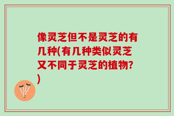 像灵芝但不是灵芝的有几种(有几种类似灵芝又不同于灵芝的植物？)