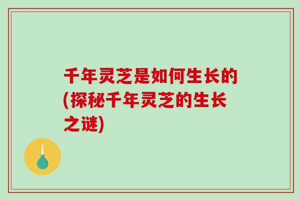 千年灵芝是如何生长的(探秘千年灵芝的生长之谜)
