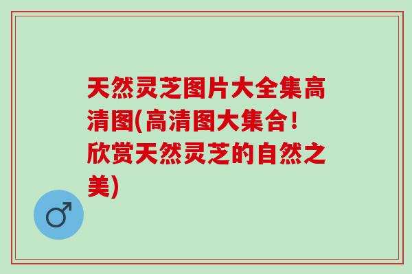天然灵芝图片大全集高清图(高清图大集合！欣赏天然灵芝的自然之美)