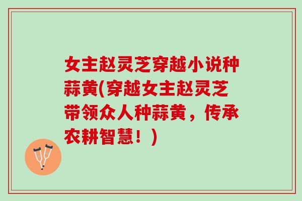 女主赵灵芝穿越小说种蒜黄(穿越女主赵灵芝带领众人种蒜黄，传承农耕智慧！)
