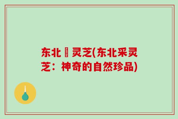 东北採灵芝(东北采灵芝：神奇的自然珍品)