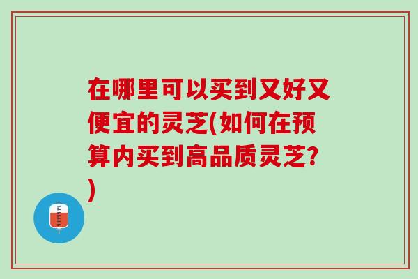 在哪里可以买到又好又便宜的灵芝(如何在预算内买到高品质灵芝？)