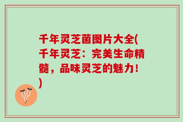 千年灵芝菌图片大全(千年灵芝：完美生命精髓，品味灵芝的魅力！)