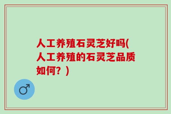 人工养殖石灵芝好吗(人工养殖的石灵芝品质如何？)